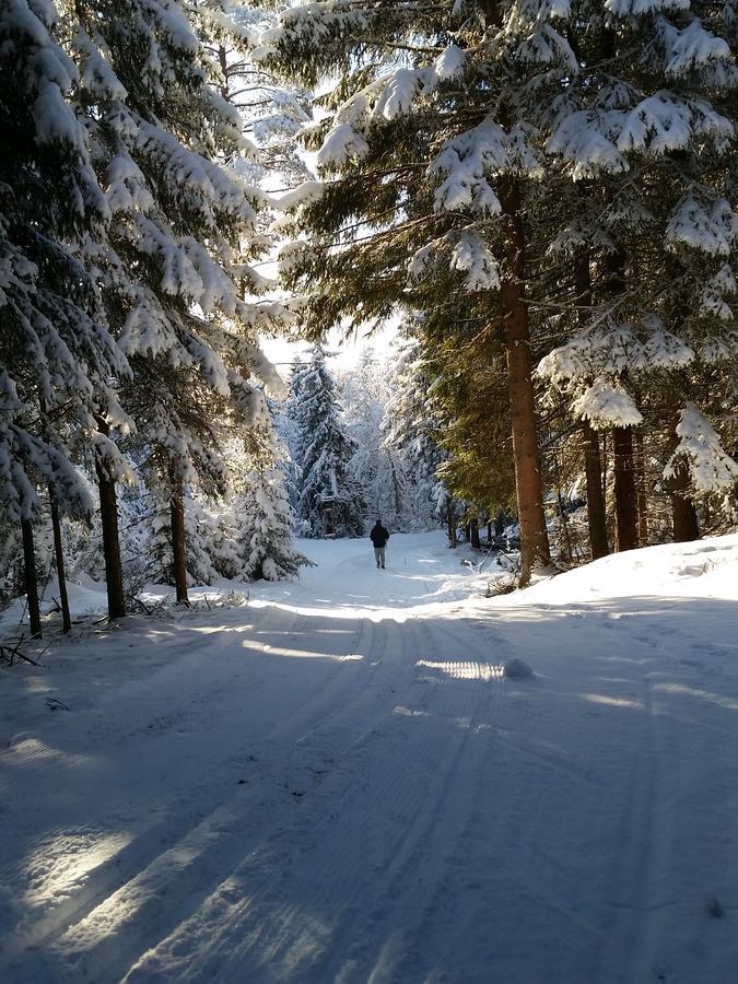 Haugtun Gardspensjonat Og Leiligheter Nordre Land Exterior foto